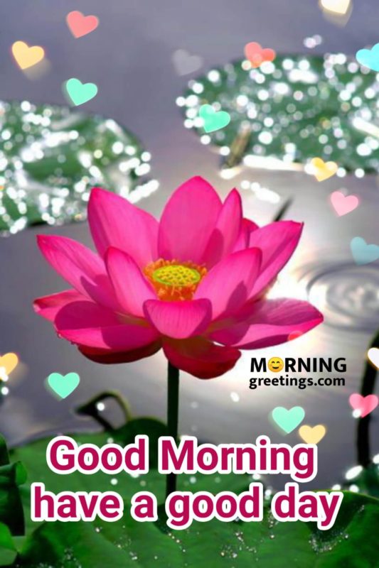 Good Morning Wishes With Lotus Images