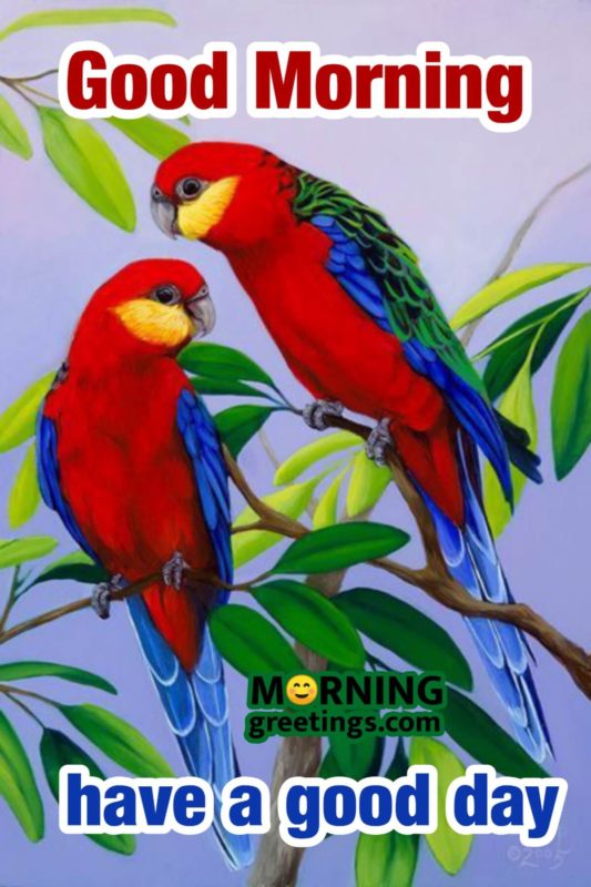 Good Morning Have A Good Day