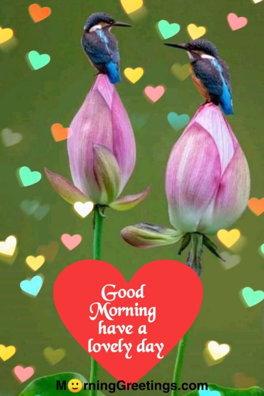 Good Morning Have A Lovely Day
