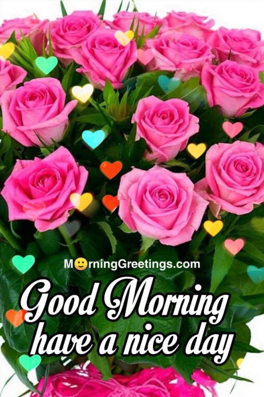 Good Morning Have A Nice Day