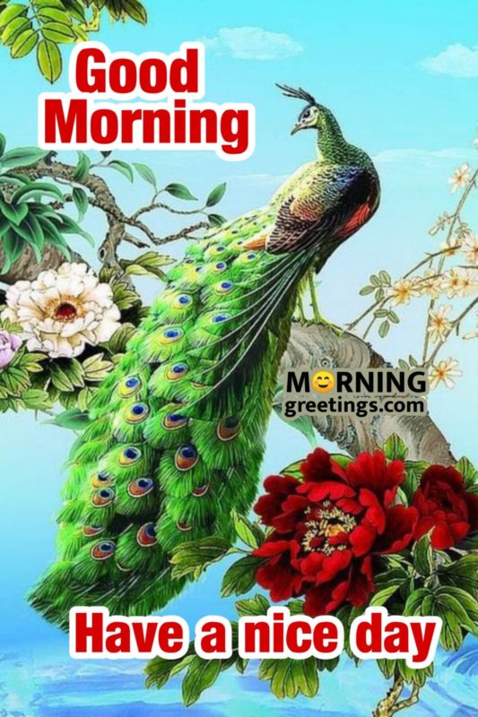 Good Morning Have A Nice Day