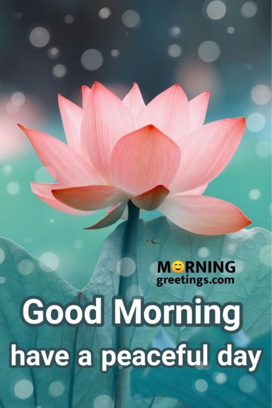 Good Morning Have A Peaceful Day