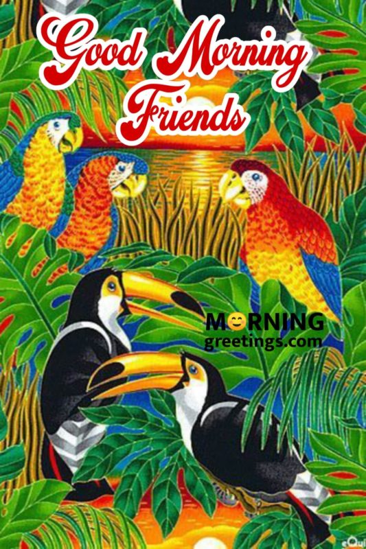 Good Morning With Friends