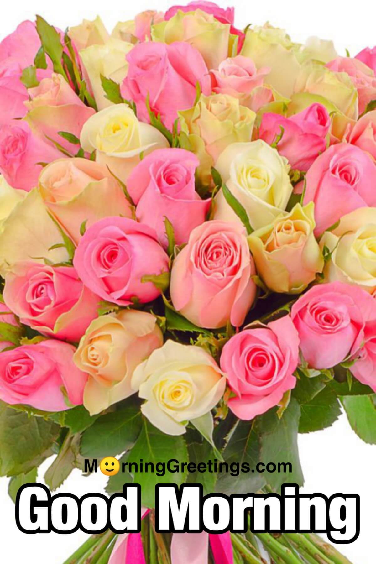 51 Good Morning Wishes With Rose Morning Greetings Morning Quotes