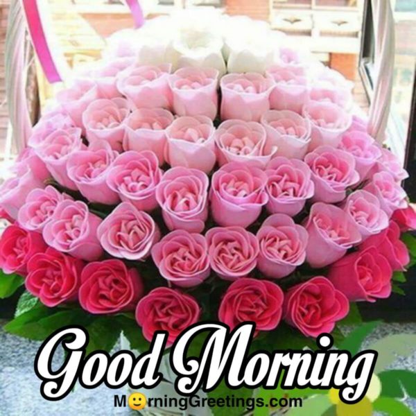 Good Morning With Pink Roses