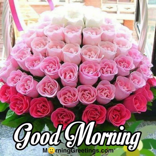 51 Good Morning Wishes With Rose - Morning Greetings – Morning Quotes ...