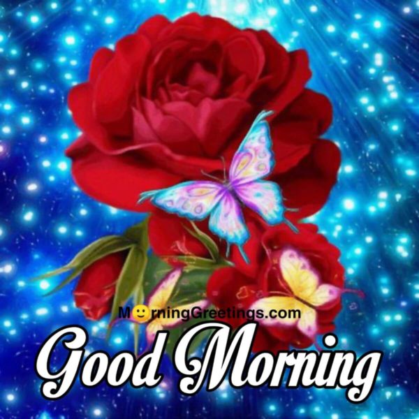 Good Morning With Rose And Butterfly