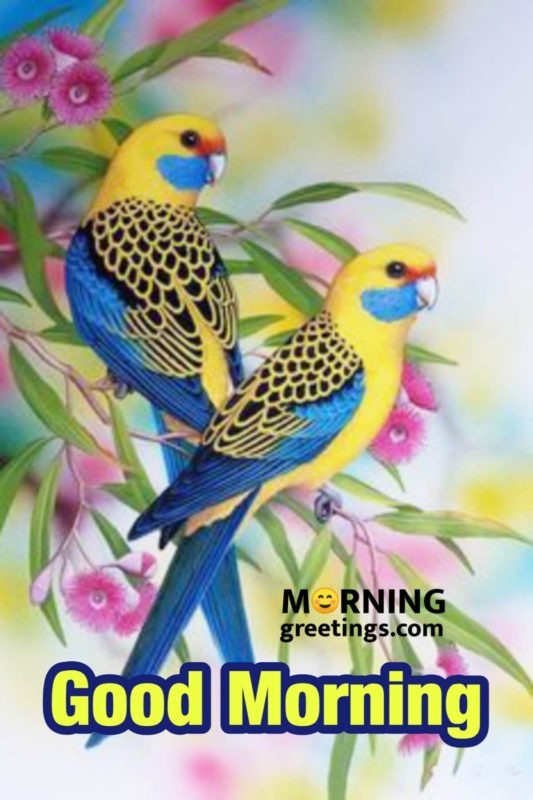 Good Morning With Yellow Birds
