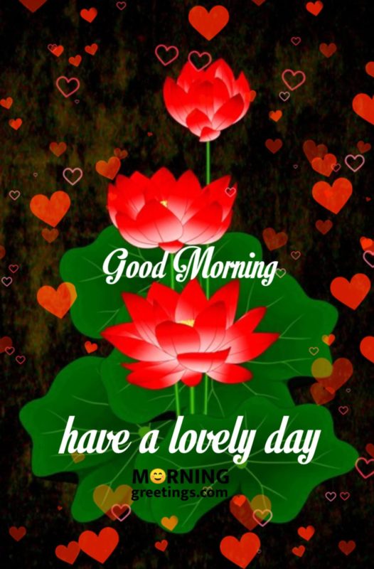 Have A Lovely Day