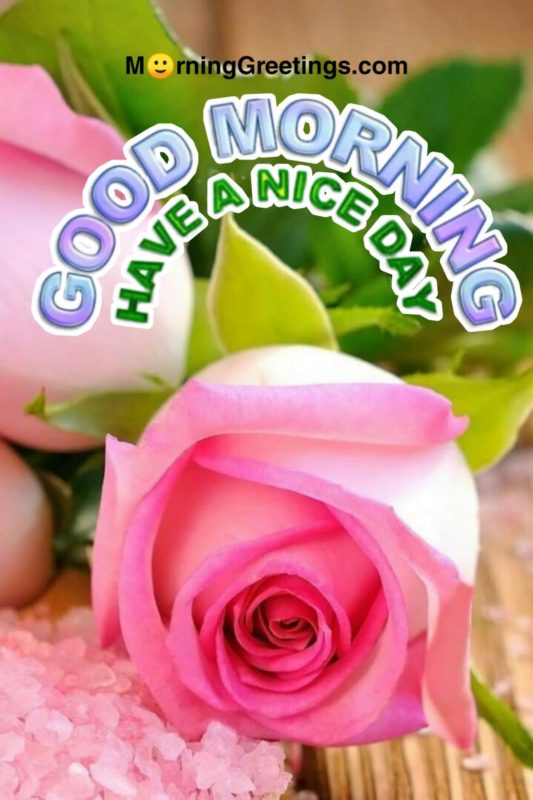 Have A Nice Day
