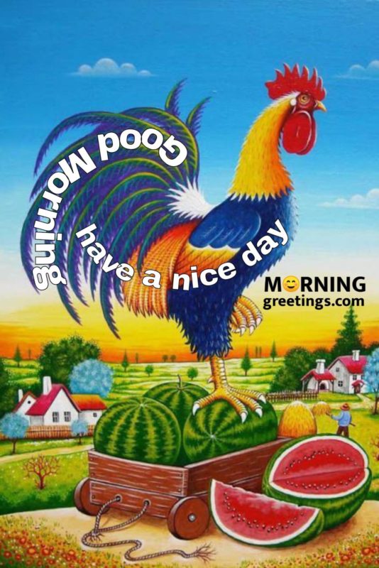 Have A Nice Day