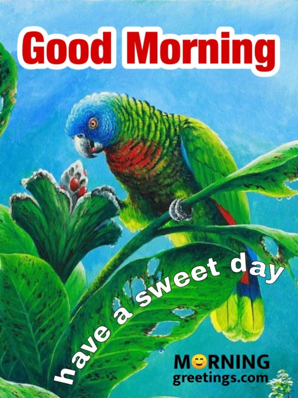 20 Perfect Morning Birds Greetings - Morning Greetings – Morning Quotes ...