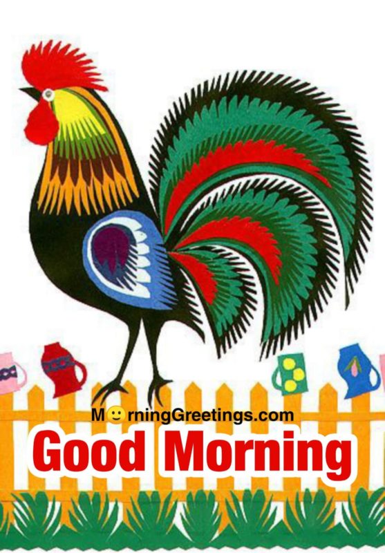 Image Of Good Morning