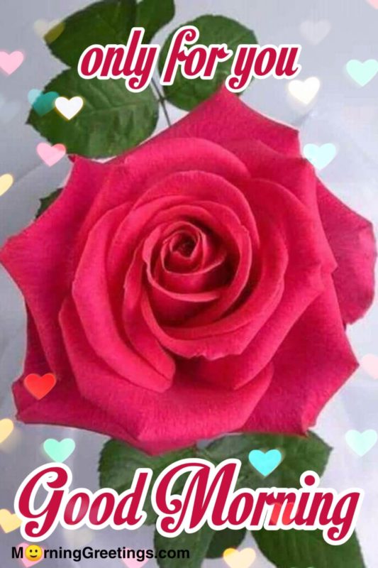 Only For You Good Morning