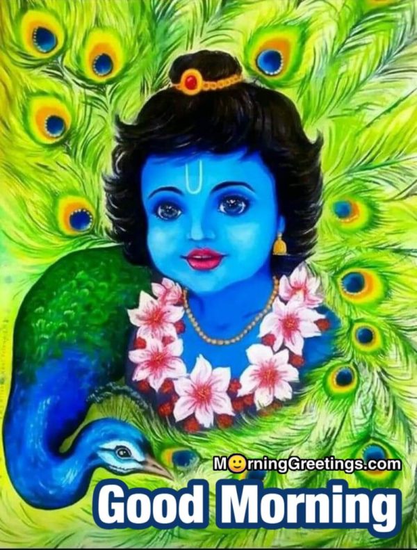 Beautiful Good Morning Pic Of Krishna