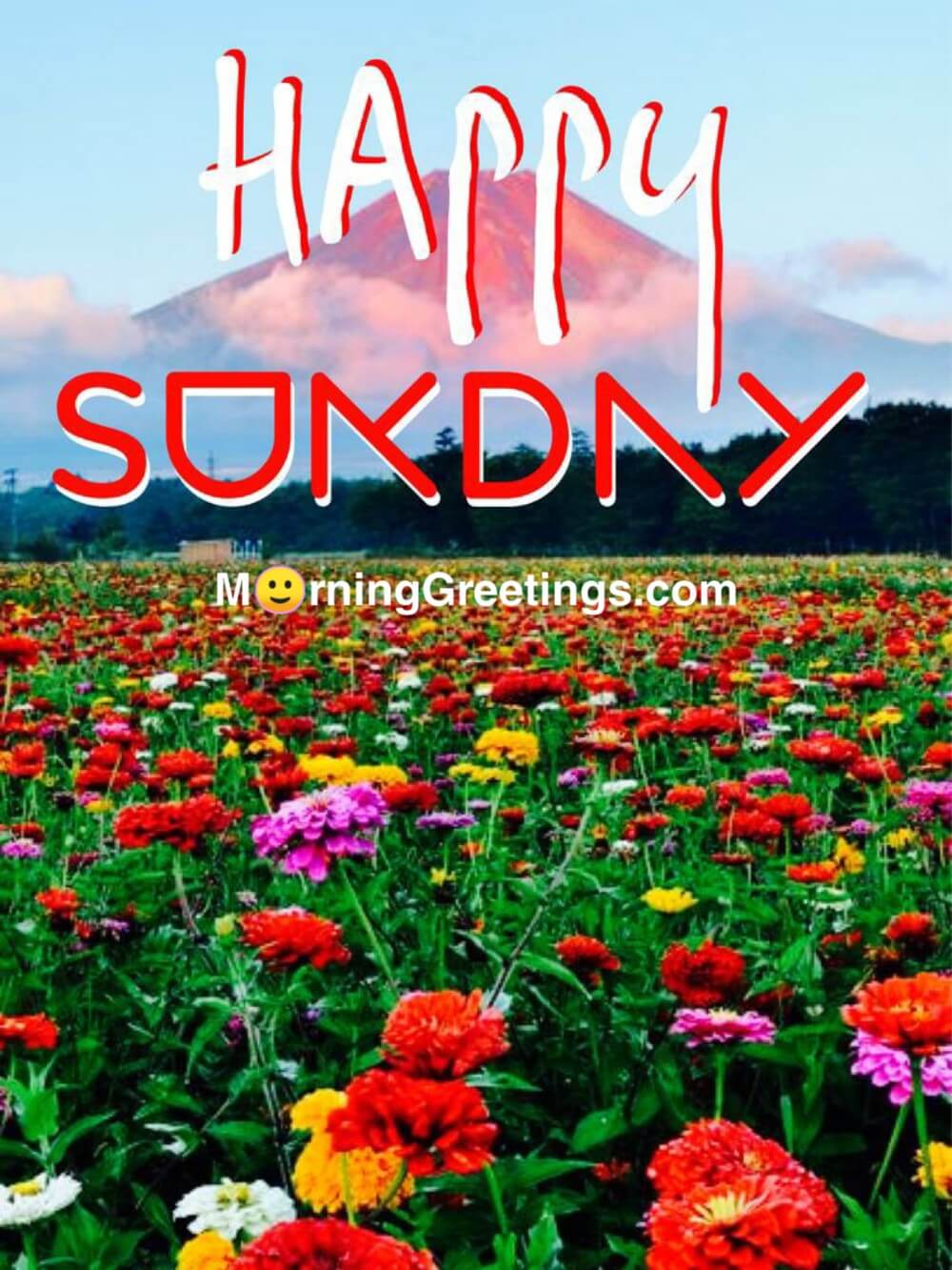 40 Wonderful Happy Sunday Morning Images - Morning Greetings – Morning