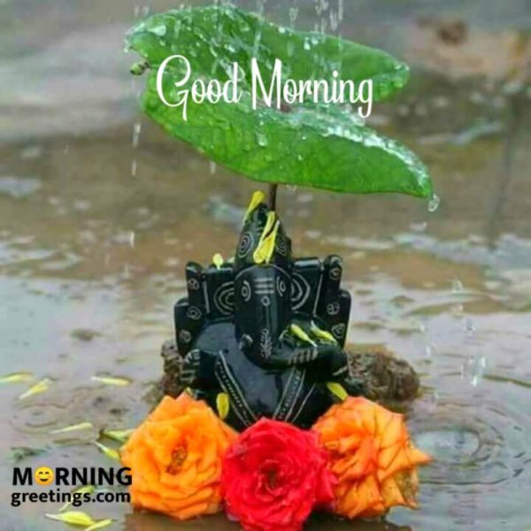 Good Morning Photo