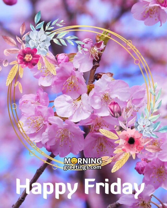 Happy Fiday Cherry Blossom