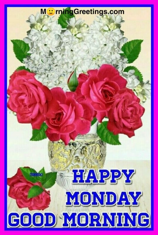 Happy Monday