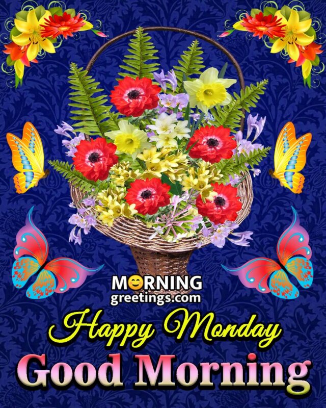 50 Good Morning Happy Monday Images - Morning Greetings – Morning ...