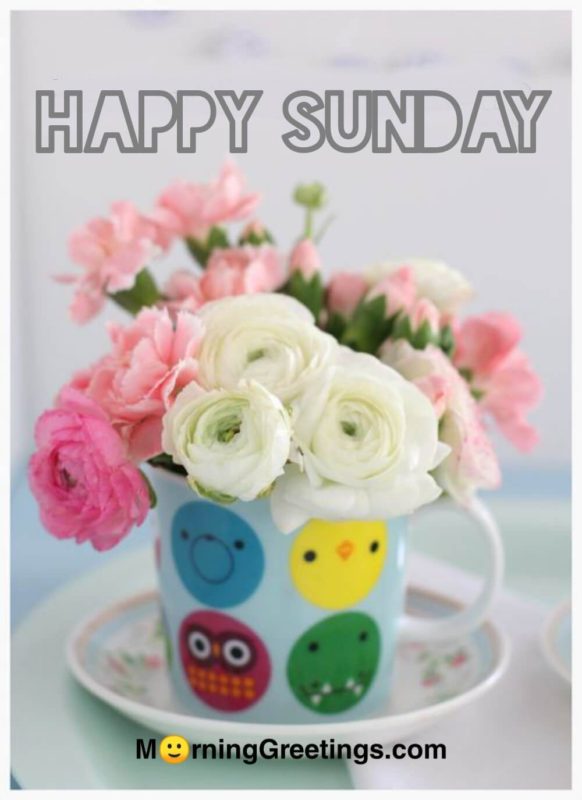 Happy Sunday