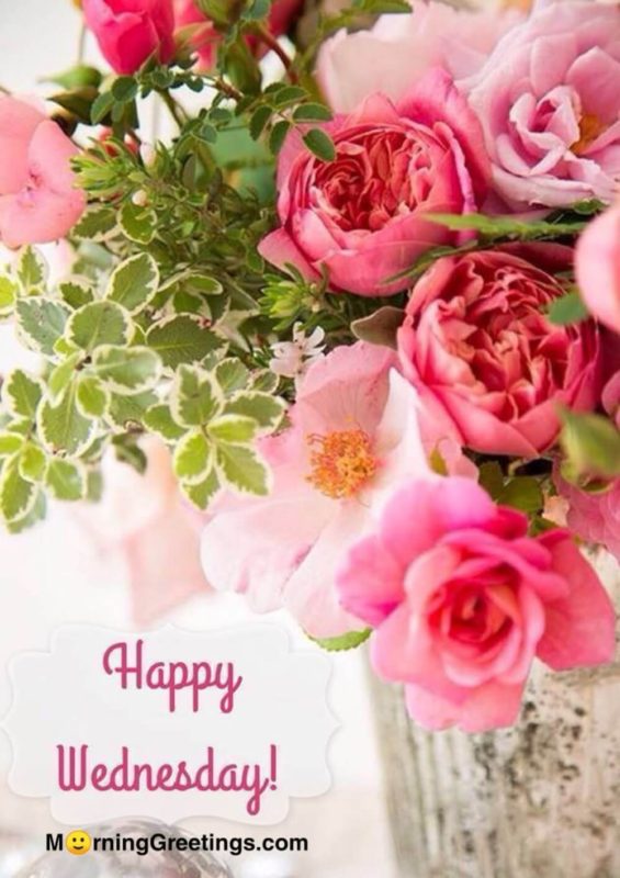 Happy Wednesday