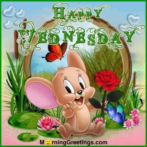 Happy Wednesday Image