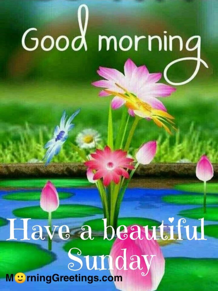 40 Wonderful Happy Sunday Morning Images Morning Greetings Morning