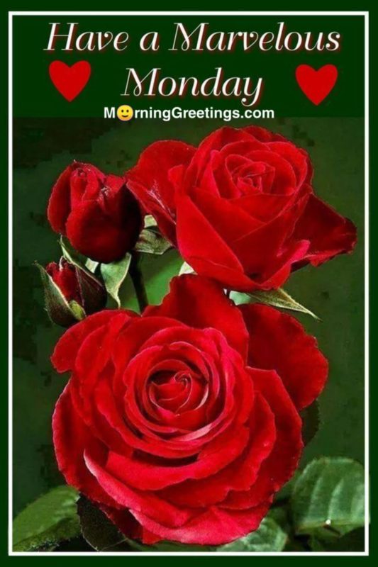 70 Best Monday Morning Quotes Wishes Pics - Morning Greetings – Morning