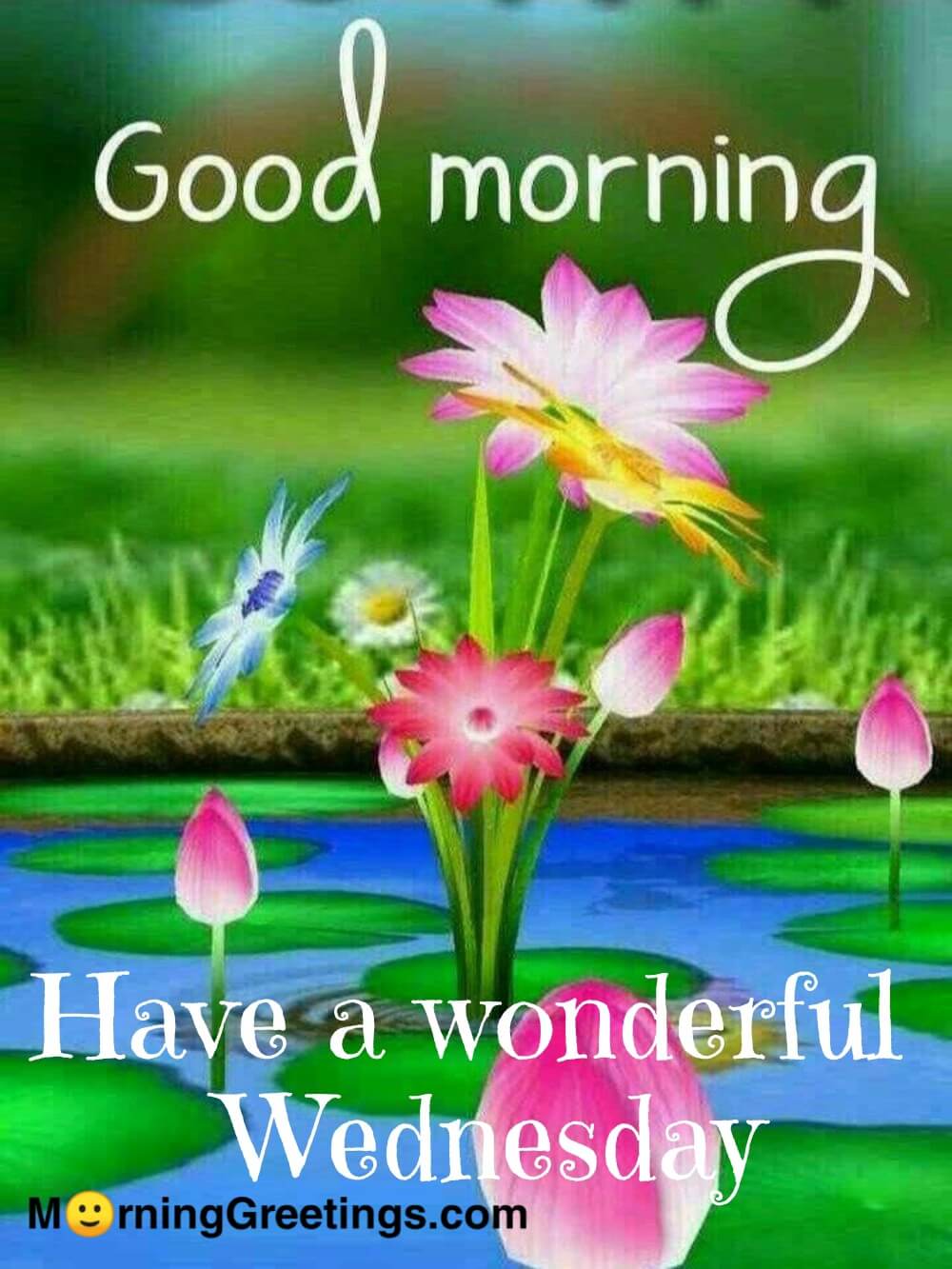 30 Amazing Wednesday Morning Blessings - Morning Greetings Morning Wishes
