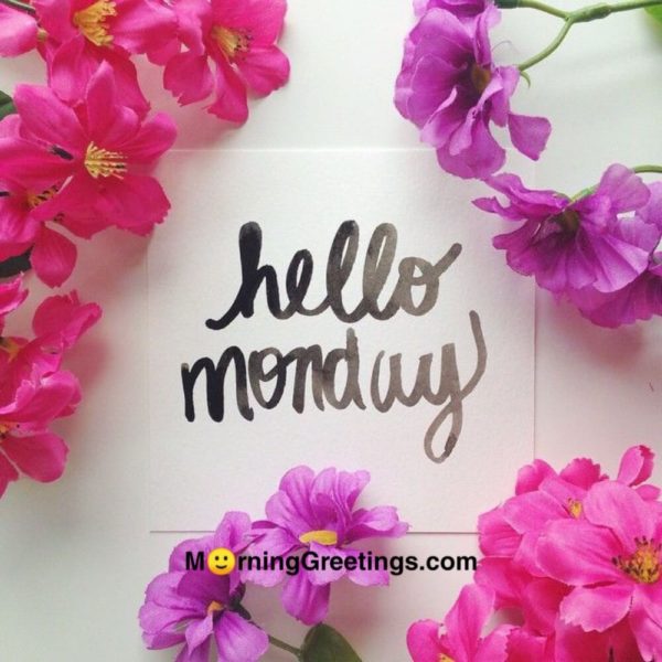 Hello Monday