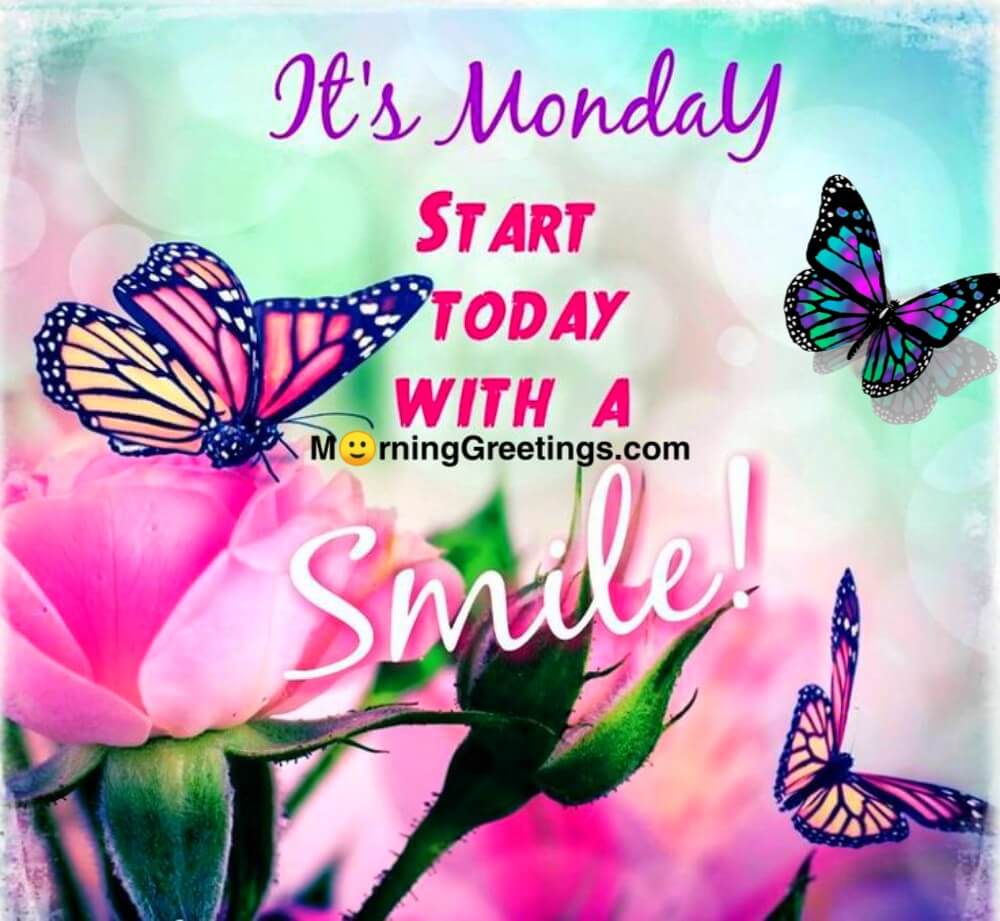 Good Morning Happy Monday Images Hello Monday Morning Greetings