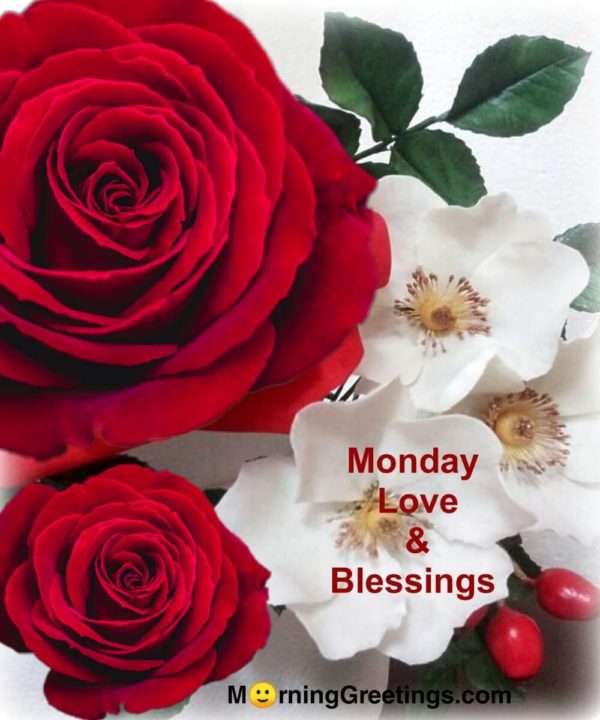 Monday Love And Blessings