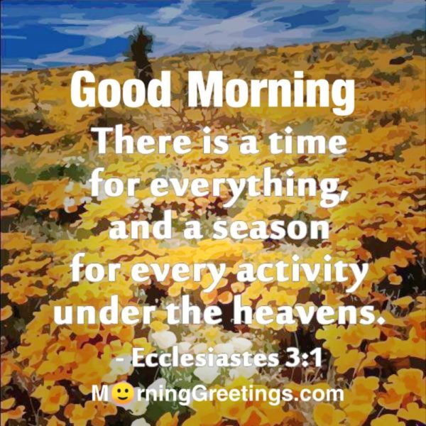There Is A Time For Everything