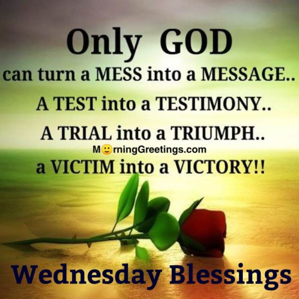 Wednesday Blessings