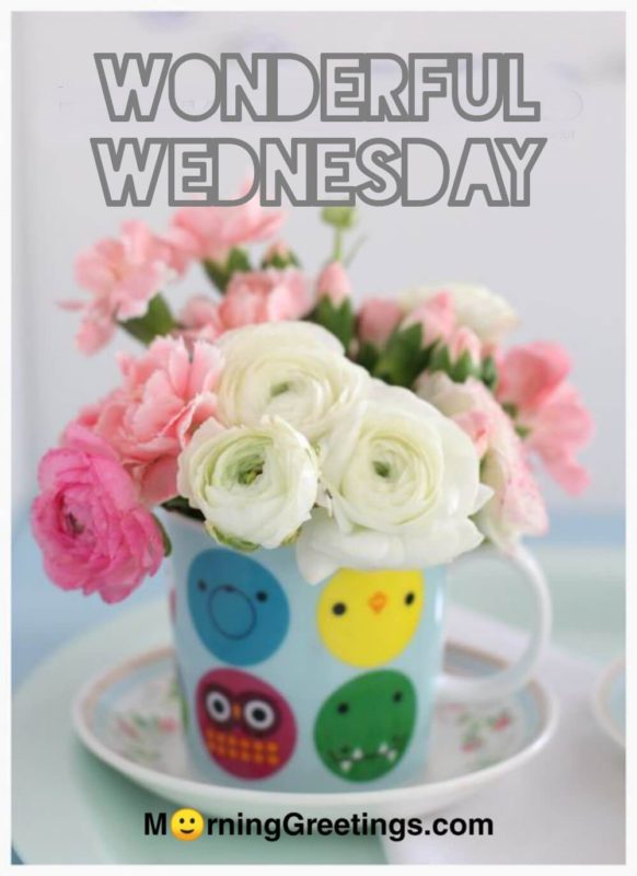 Wonderful Wednesday