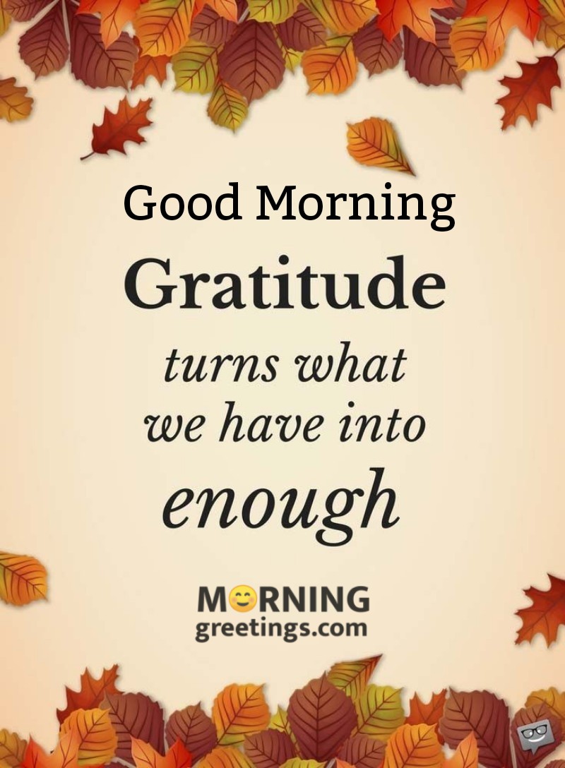 Good Morning Gratitude Image