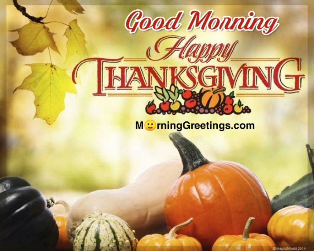Good Morning Happy Thanksgiving