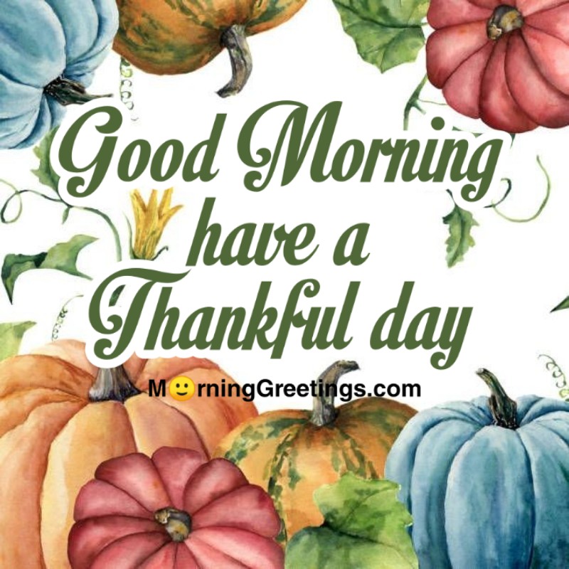Good Morning Have A Thankful Day