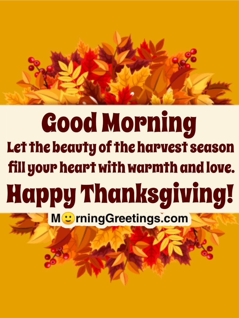 Good Morning Thanksgiving Harvest Season
