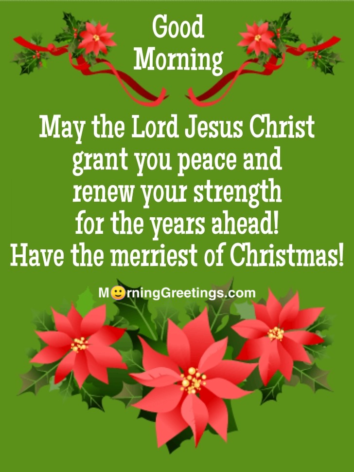 Good Morning Poinsettia Merry Christmas Card