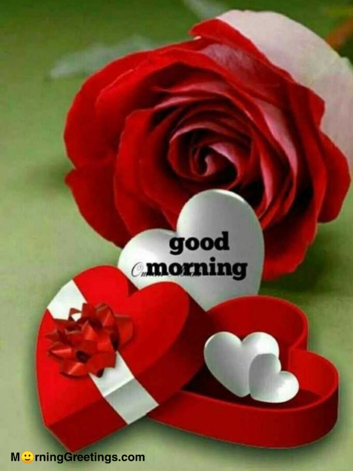 Good Morning Heart Box With Red Rose