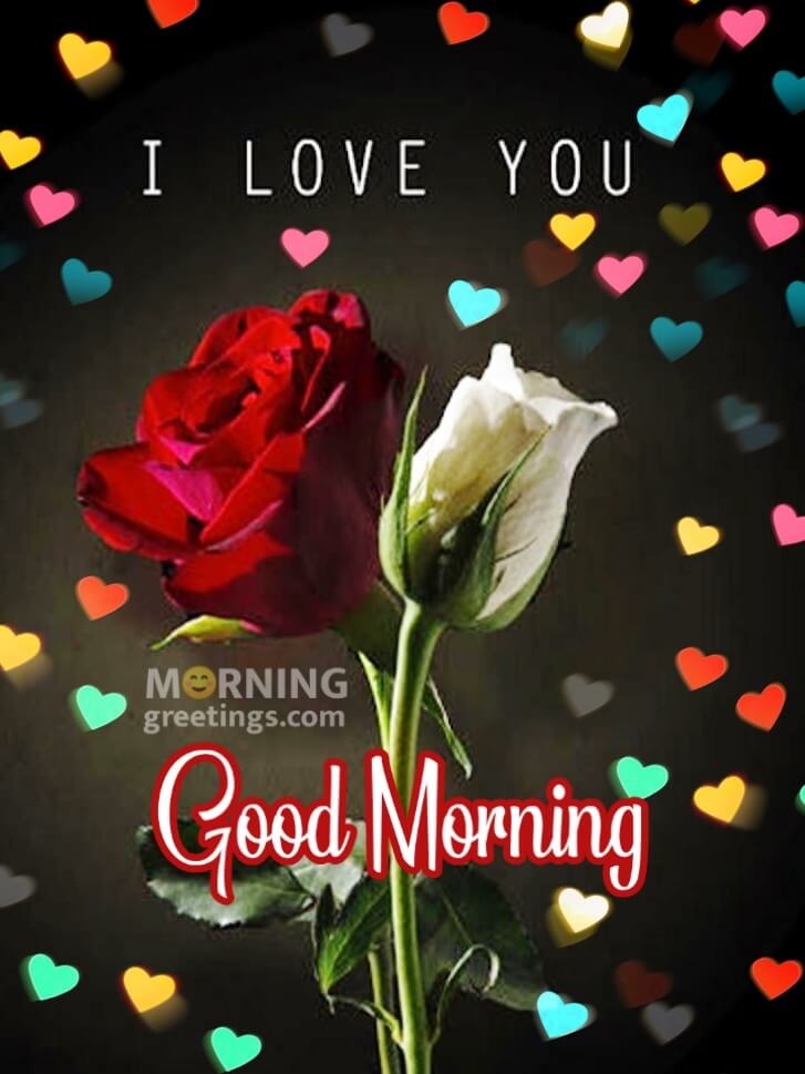 Good Morning Love Red Roses