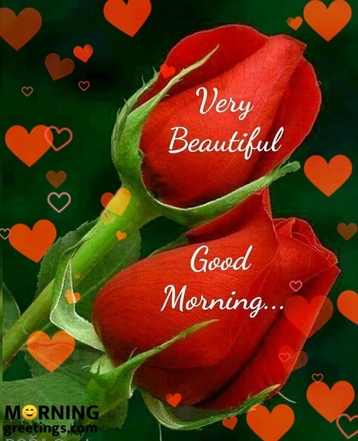 Good Morning Very Beautiful Red Roses