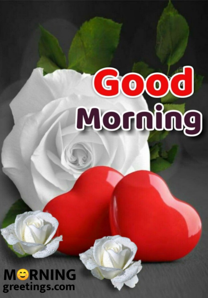 Good Morning White Rose With Two Heart