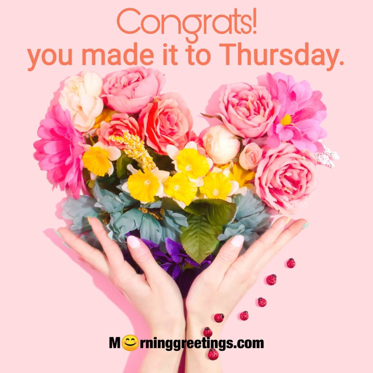 Congrats! You Made It To Thursday