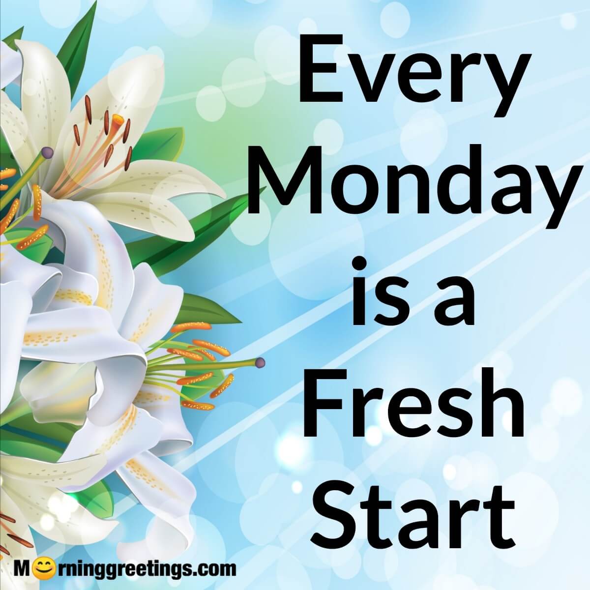 Every Monday Is A Fresh Start