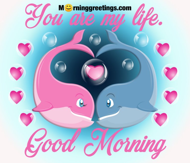 20 Romentic Good Morning Kiss Images - Morning Greetings – Morning