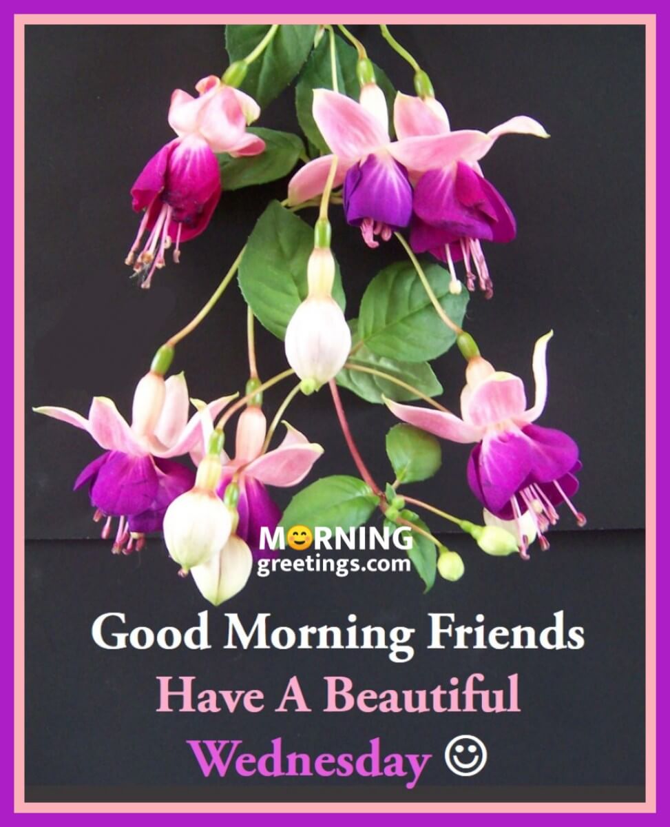 Good Morning Friends Have A Beautiful Wednesday