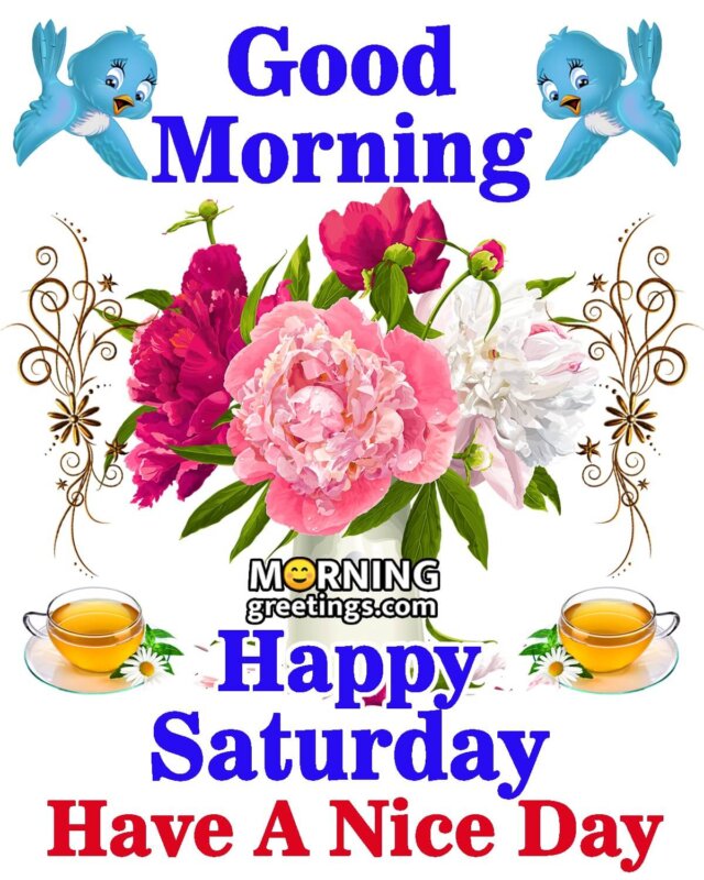 Good Morning Happy Saturday Nice Day